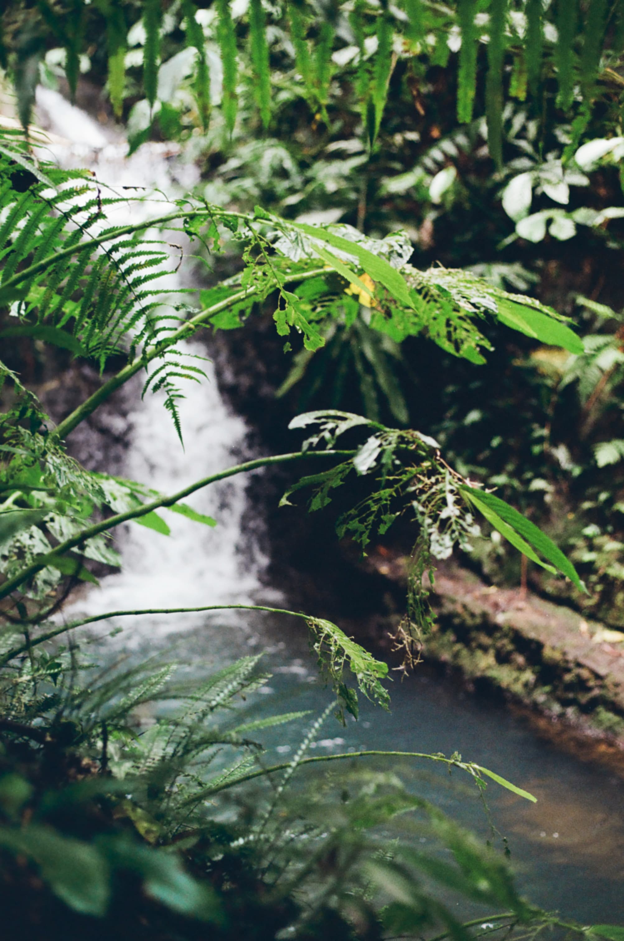 Waterfall2 (2)